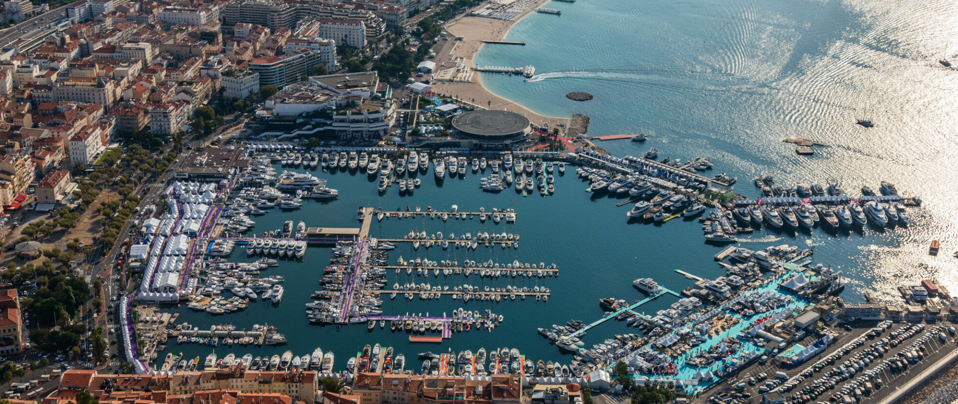 Cannes Festival image